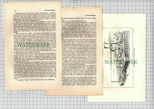 Worcester Royal Porcelain Works - 1899 Article