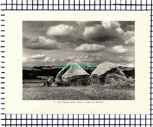 Pendell Farm  Surrey / Bletchingley Main Street  - 1949 Print / Cutting