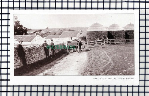 C7109) Skiplay Grange  - Cutting