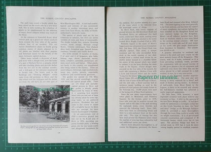 (6952) Hove Sussex Kingsway Drive Bridge Jack Dove  - 1955 Article