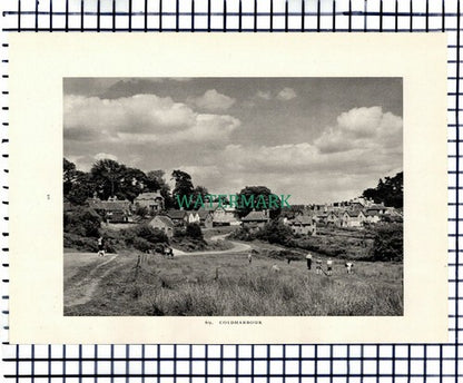 (7452) Leith Hill Tower / Coldharbour Surrey - 1949 Print / Cutting
