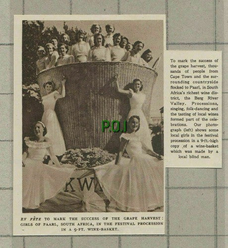 (C662) Paarl South Africa Grape Harvest Festival Wine Basket - 1951 Cutting