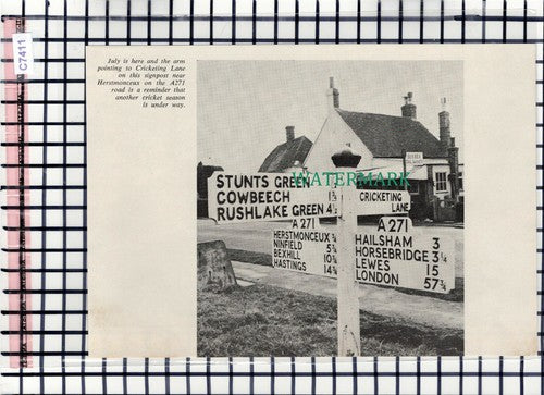 C7411) Cricketing Lane Herstmonceux Sussex  - 1965 Cutting