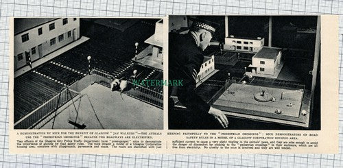 C702) Glasgow City Police Traffic Dept Mice Model Pedestrian Crossings - 1951