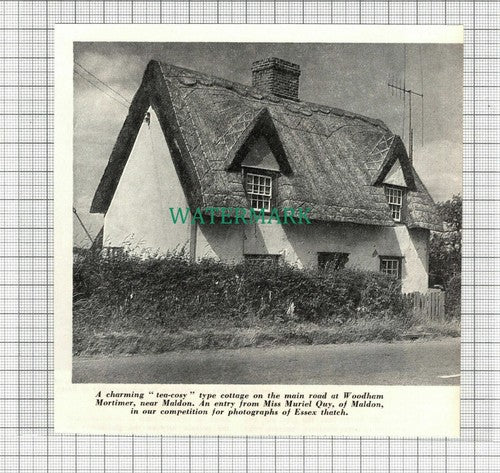 C2822) Woodham Mortimer Cottage Maldon Essex  - 1964 Cutting