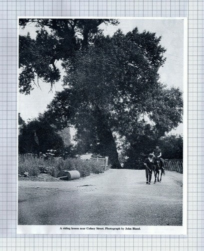 (5677) Colney Street Hertfordshire Riding Lesson  - 1967 Clip