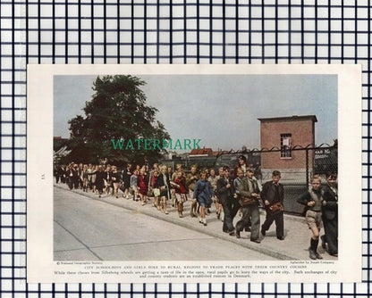 (7888) Silkeborg School / Copenhagen Denmark Fishwomen Fiskehusets  - 1940
