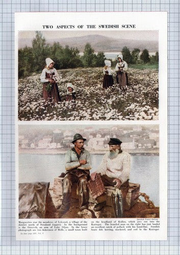 (5741) Leksand Sweden / Molle Fishermen Kullen  - c.1960s Clip