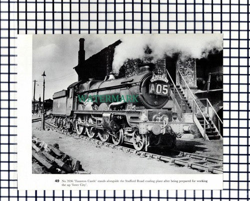 (7841) Stafford Road Shed Railway Engine 7036 Taunton Castle 4625 -1970s Cutting