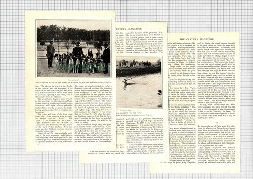 The Duchess D'Uzes Hunting Hounds Celle Les Bordes - 1903 Article