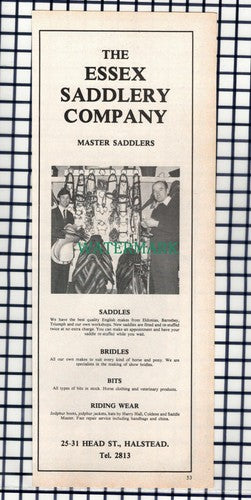 The Essex Saddlery Company Halstead Essex  - 1976 Advert / Print