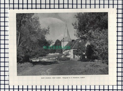 (8189) Bury Church West Sussex  - 1950 Cutting