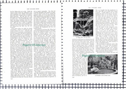 (7032) Mr Louis Tiffany  Cold Spring Harbour New York - c.1912 Article