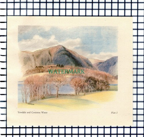 (7327) Yewdale & Coniston Water Lake District  -  1946 Cutting / Print