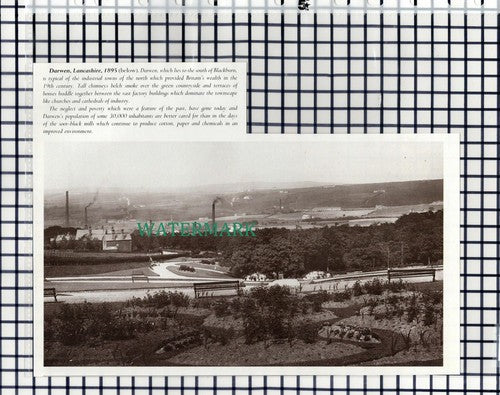 (7859) Darwen Lancashire  - 1980s Cutting