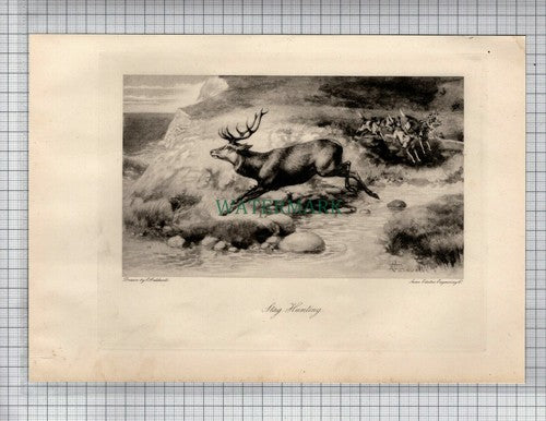 Stag Hunting Print E Caldwell - 1898 Antique Print