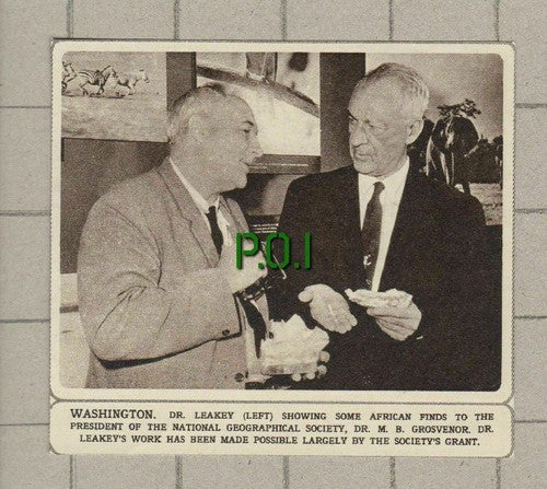 Dr Leakey African Finds Dr M B Grosvenor  Geographical Society - 1961 Clipping
