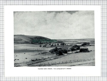 (6853) Tolmere Farm Findon / Thomas Swain Tristan da Cunha - 1954 Cutting