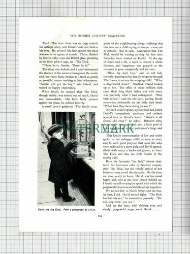 (6856) Gwen Benwell David The Lanes Sussex - 1954 Article