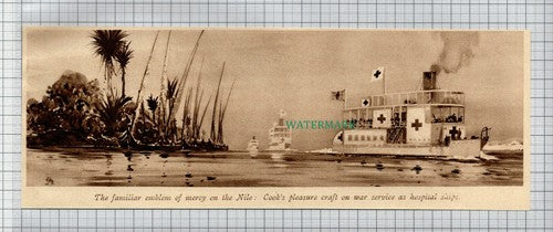 (6556) Cook's Pleasure Craft Hospital Ship Nile  World War One  - c.1917 Clip
