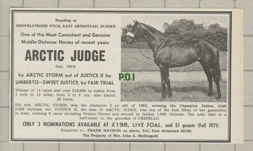 (C150) Horse Advert Arctic Judge Mrs John A McDougald - 1972 Clip