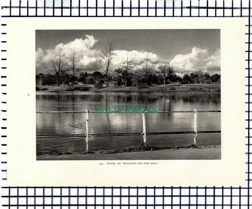 (7465) Walton On The Hill / Headley Heath Surrey  -  1949 Print / Cutting