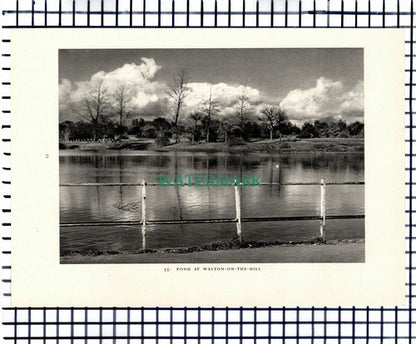 (7465) Walton On The Hill / Headley Heath Surrey  -  1949 Print / Cutting