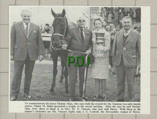 Major M Rihal Melody Man Horse Vincent Heres Cottrell - 1971 Small News Clipping