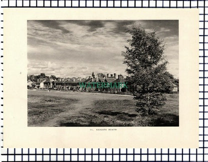 Reigate Heath / Reigate Hill Surrey - 1949 Print / Cutting