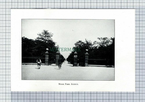 C7211) PRESTON Moor Park Avenue - 1902 Book Print