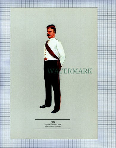 (X362) GRENADIER GUARDS SERGEANT PRINT c.1970