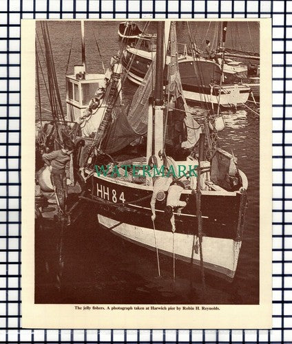 (8391) Jelly Fishers Harwich Pier Essex - 1967 Cutting
