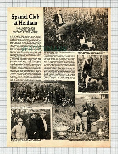 X1873) Spaniel Club Henham Wangford Suffolk Lukies Tim Healey -  1984 Article