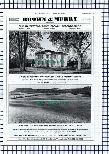 X1673) The Homestead Farm Bedfordshire Sale Advert - 1978 Cutting