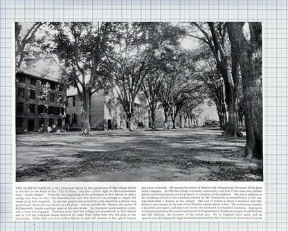 (5615) Big Grape Vine Santa Barbara California / Yale College Elms - c.1900 Clip