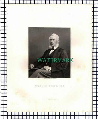 X1587) Charles Brook  - c.1870 Print (Marks To Border Area)