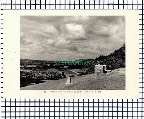 (7466) Box Hill Ranmore Common Surrey / Brockham   -  1949 Print / Cutting