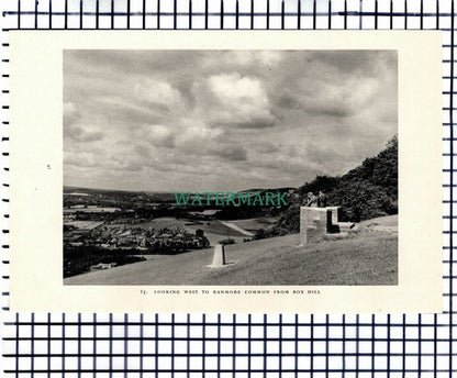 (7466) Box Hill Ranmore Common Surrey / Brockham   -  1949 Print / Cutting