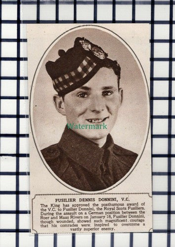 C6282) Fusilier Dennis Donnini Royal Scots Hero World War 2  - 1945 Cutting
