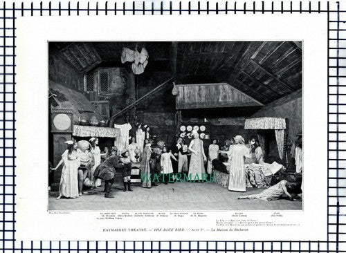 X1573) Haymarket Theatre Blue Bird Olive Walter Addison Hignett  - 1910 Cutting