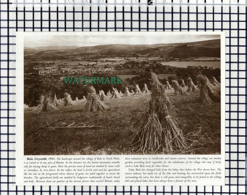 (7850) Bala Gwynedd North Wales   -  1980s Cutting