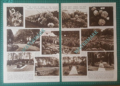 Royal Hospital Chelsea Flower Show GG Whitelegg  - 1948 Article