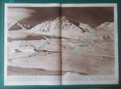 Marguerite Bay Base Stonington Island Graham Land - 1950 Article