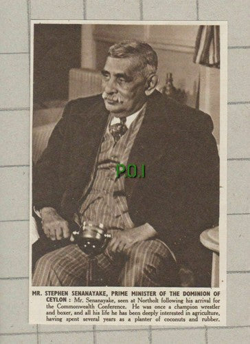 Mr Stephen Senanayake Prime Minister Ceylon    -    1951 Small News Clipping
