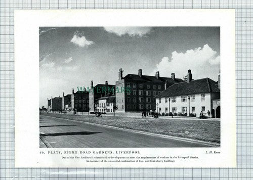 (8698) Coombe Surrey / Speke Road Gardens Liverpool  -  c.1945 Book Print