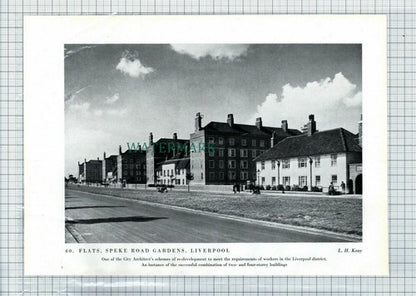 (8698) Coombe Surrey / Speke Road Gardens Liverpool  -  c.1945 Book Print