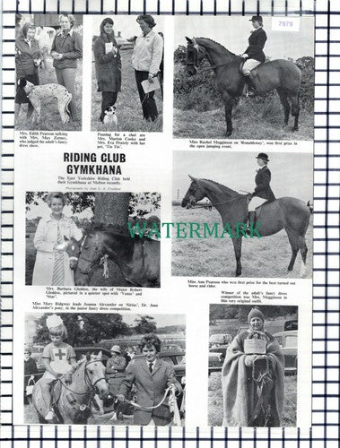 (7979) East Yorkshire Riding Club Melton Mary Ridgway Gleddoe Megginson - 1965