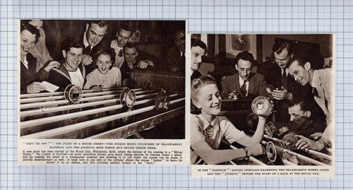 (5609) Royal Oak Widcombe Bath Mouse Derby - 1949 Cutting