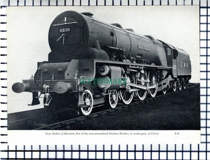 (7049) Duchess Of Buccleuch Locomotive / Queen Mary Kingmoor Carlisle - Cutting