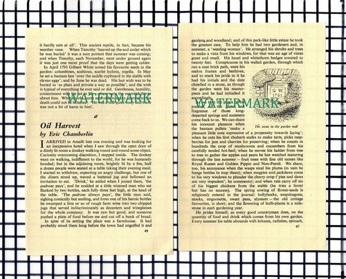 Gilbert White Author Selborne Hampshire  - 1955 Small Article / Print